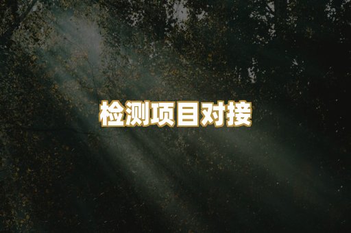 检测项目对接